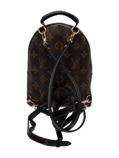 Louis Vuitton LV Monogram Palm Springs Mini
