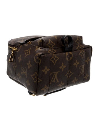 Louis Vuitton LV Monogram Palm Springs Mini