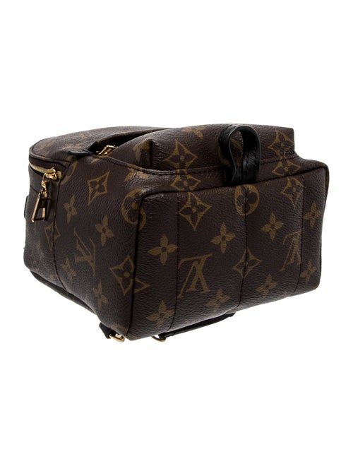 Louis Vuitton LV Monogram Palm Springs Mini