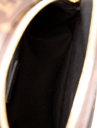 Louis Vuitton LV Monogram Palm Springs Mini