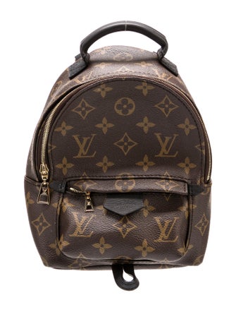 Louis Vuitton LV Monogram Palm Springs Mini
