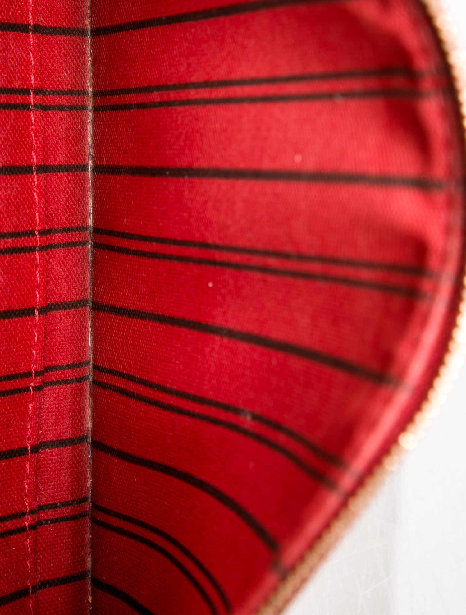 Louis Vuitton LV Monogram Neverfull Pouch