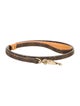 Louis Vuitton Monogram Baxter MM Dog Leash
