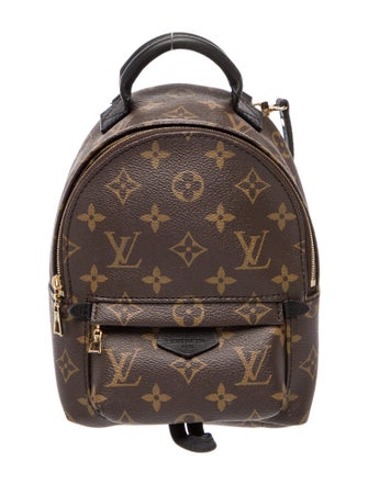 Louis Vuitton Monogram Palm Springs Mini