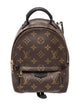 Louis Vuitton Monogram Palm Springs Mini