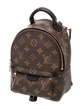 Louis Vuitton Monogram Palm Springs Mini