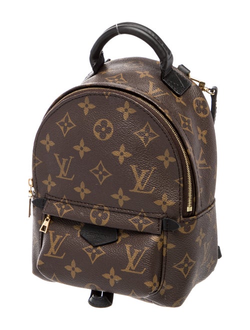 Louis Vuitton Monogram Palm Springs Mini
