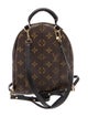 Louis Vuitton Monogram Palm Springs Mini