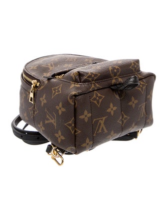 Louis Vuitton Monogram Palm Springs Mini