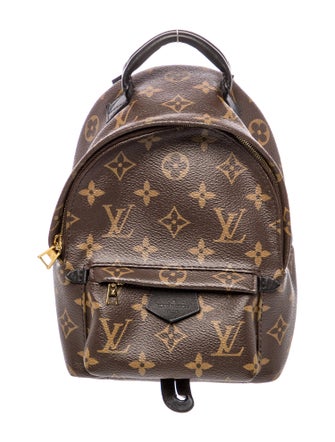 Louis Vuitton LV Monogram Palm Springs Mini