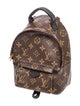 Louis Vuitton LV Monogram Palm Springs Mini