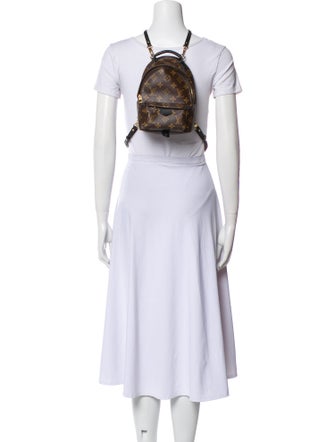 Louis Vuitton LV Monogram Palm Springs Mini