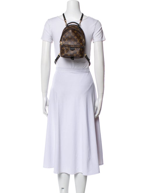 Louis Vuitton LV Monogram Palm Springs Mini