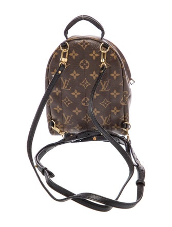 Louis Vuitton LV Monogram Palm Springs Mini