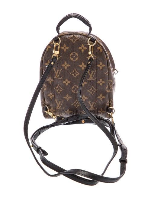 Louis Vuitton LV Monogram Palm Springs Mini