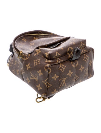 Louis Vuitton LV Monogram Palm Springs Mini