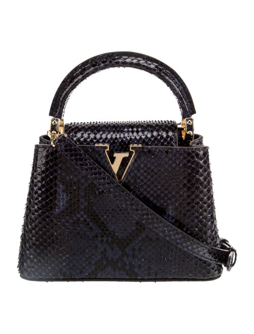 Louis Vuitton LV Monogram Capucines Mini