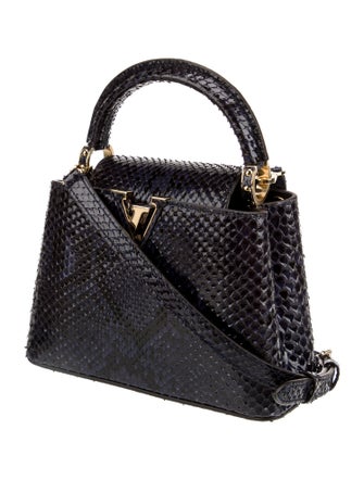 Louis Vuitton LV Monogram Capucines Mini