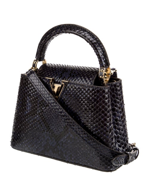 Louis Vuitton LV Monogram Capucines Mini