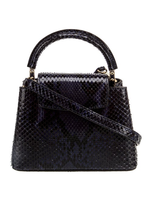 Louis Vuitton LV Monogram Capucines Mini