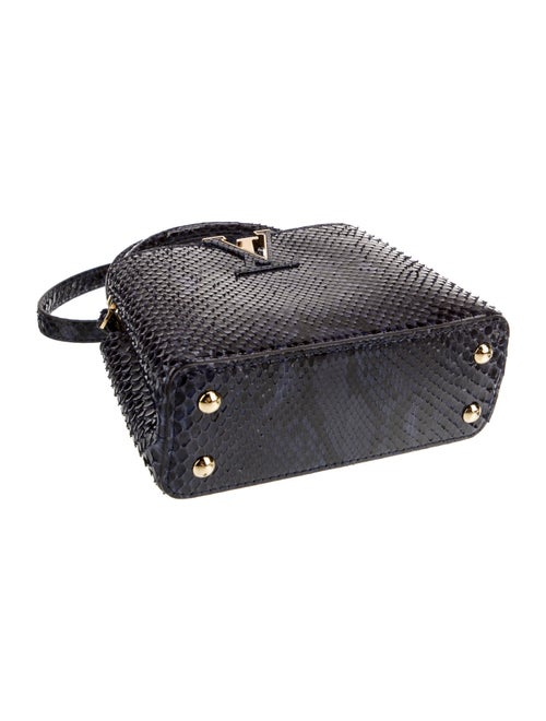 Louis Vuitton LV Monogram Capucines Mini