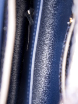 Louis Vuitton LV Monogram Capucines Mini