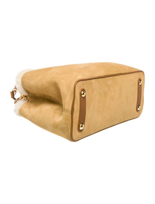 Louis Vuitton Suede Capucines Souple GM