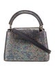 Louis Vuitton Lizard Capucines Mini