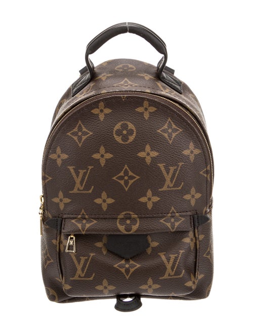 Louis Vuitton LV Monogram Palm Springs Mini