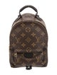 Louis Vuitton LV Monogram Palm Springs Mini