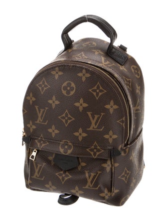 Louis Vuitton LV Monogram Palm Springs Mini