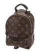 Louis Vuitton LV Monogram Palm Springs Mini