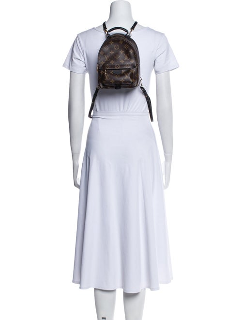 Louis Vuitton LV Monogram Palm Springs Mini