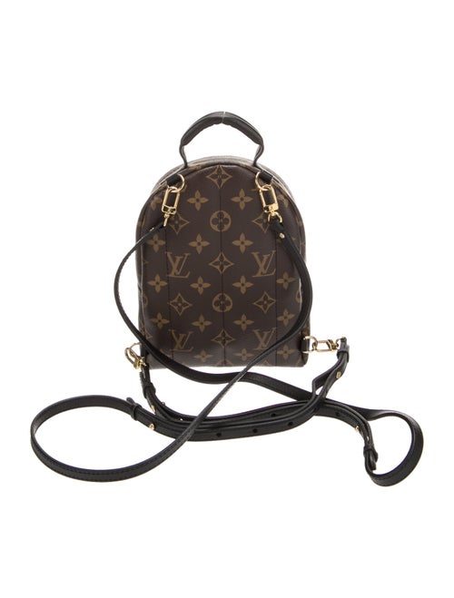 Louis Vuitton LV Monogram Palm Springs Mini