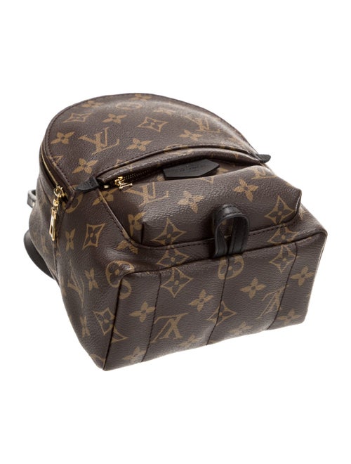 Louis Vuitton LV Monogram Palm Springs Mini