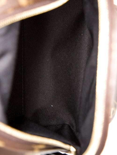 Louis Vuitton LV Monogram Palm Springs Mini