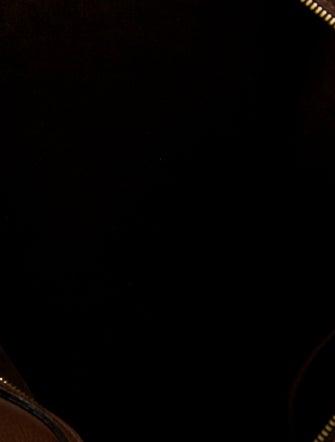 Louis Vuitton Perforated Monogram Luna