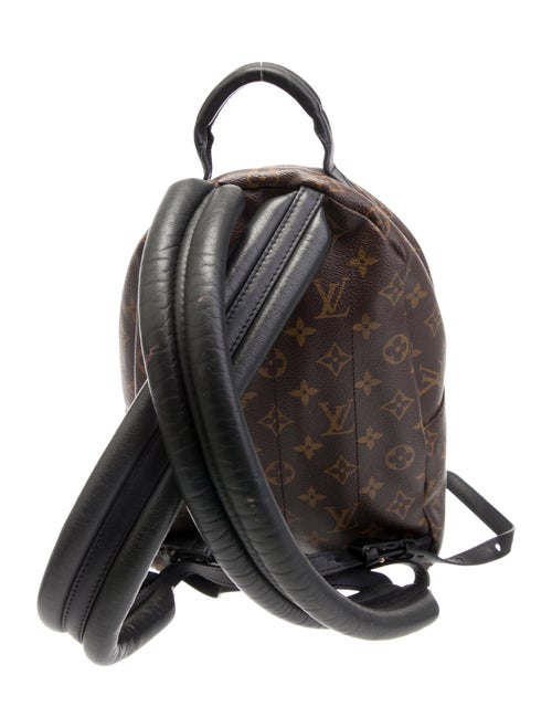 Louis Vuitton LV Monogram Palm Springs PM