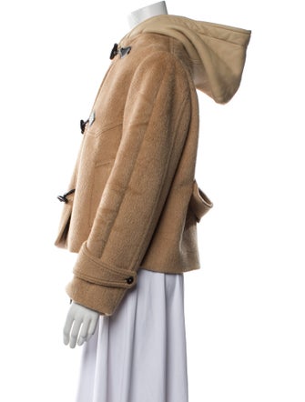 Louis Vuitton 2020 Fur Jacket