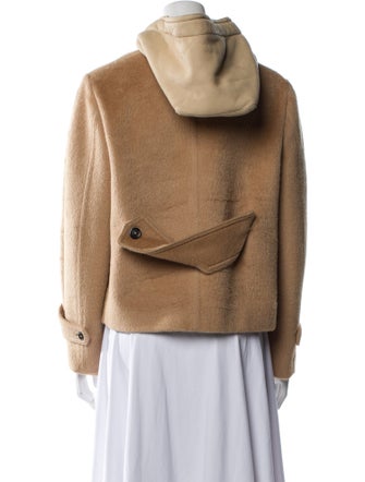 Louis Vuitton 2020 Fur Jacket