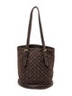 Louis Vuitton Monogram Mini Lin Petit Bucket