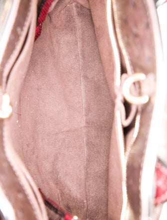 Louis Vuitton Quilted Etoile Exotique GM