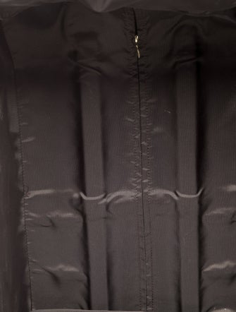 Louis Vuitton Damier Ebene Pégase 55