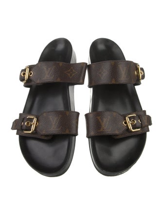 Louis Vuitton LV Monogram Slides