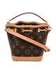 Louis Vuitton LV Monogram Noé Nano