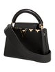 Louis Vuitton Taurillon Leather Capucines Mini