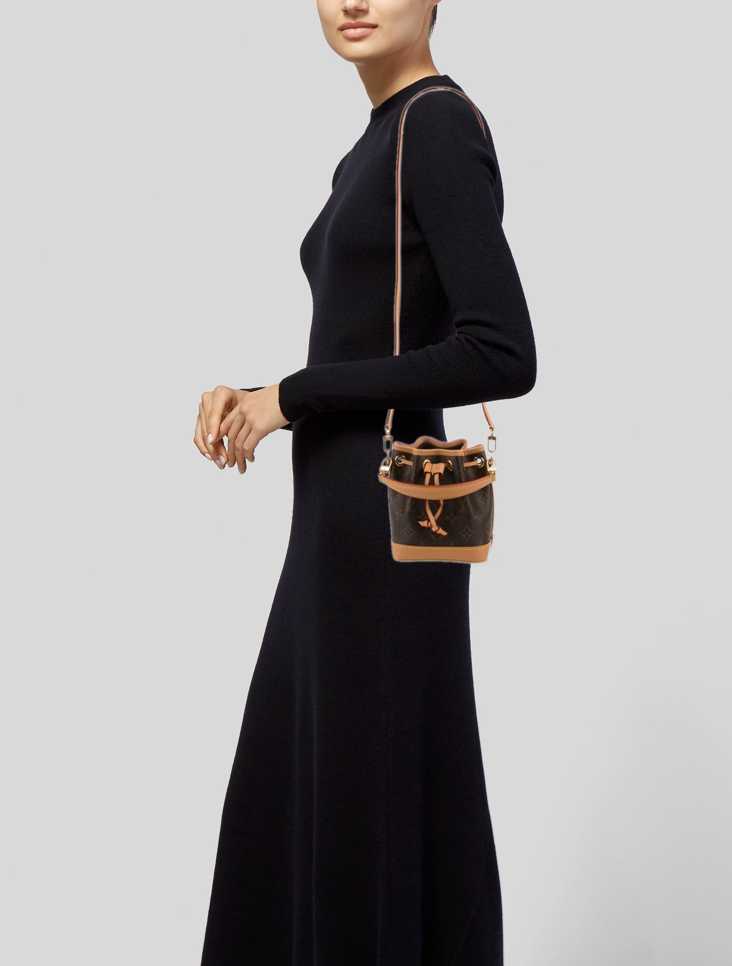 Louis Vuitton LV Monogram Noé Nano