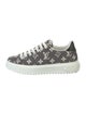 Louis Vuitton LV Monogram Canvas Sneakers