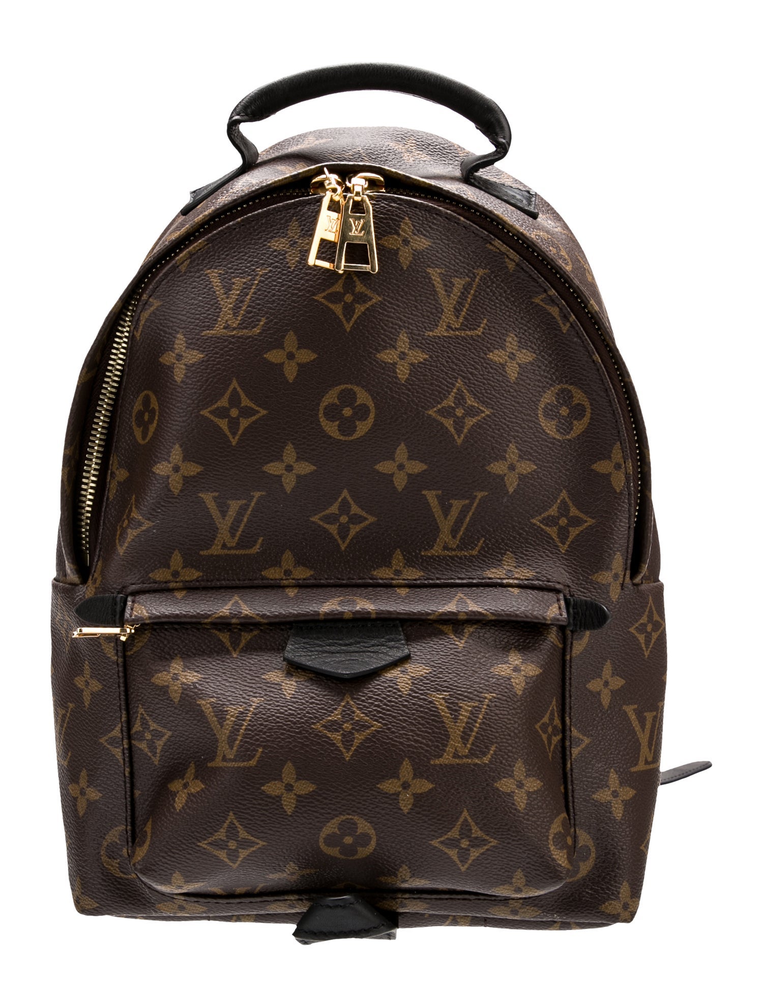 Louis Vuitton LV Monogram Palm Springs PM