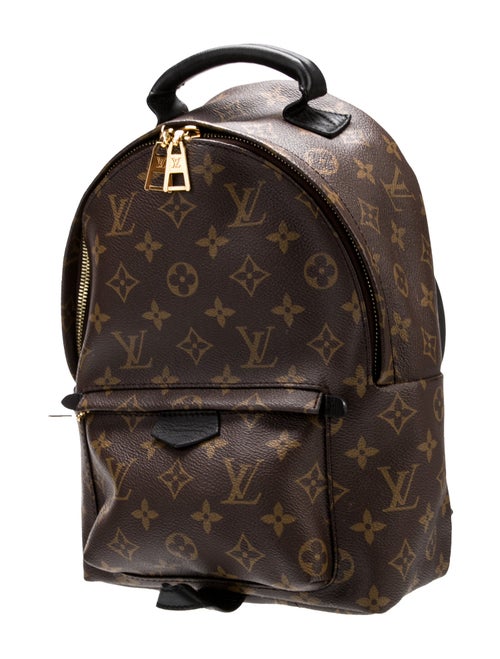 Louis Vuitton LV Monogram Palm Springs PM